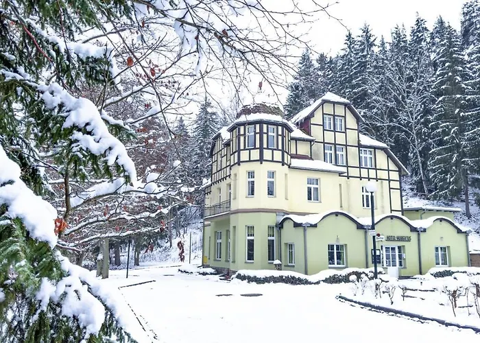 Pensjonat Hubertus 3*